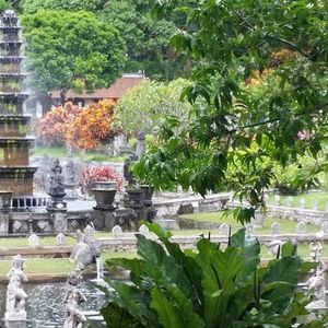 Raid l'Arbre Vert Amazones - Bali