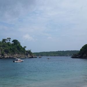 Raid l'Arbre Vert Amazones - Bali
