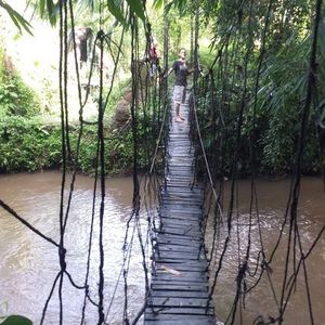 Raid l'Arbre Vert Amazones - Bali