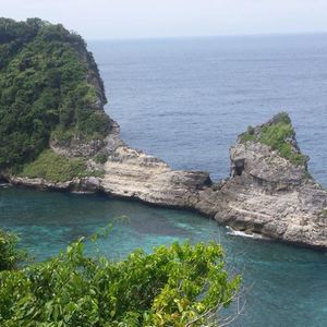 Reco Raid l'Arbre Vert Amazones Bali