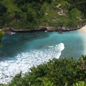 Reco Raid l'Arbre Vert Amazones Bali