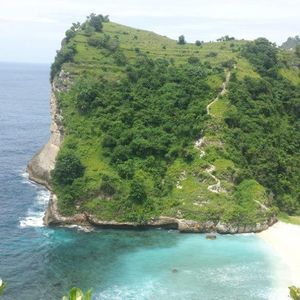 Reco Raid l'Arbre Vert Amazones Bali