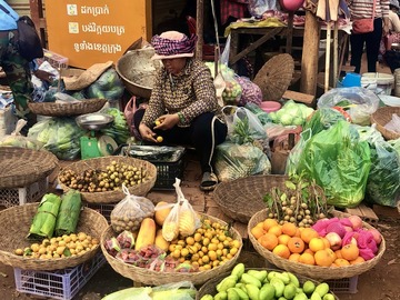 Cambodge Raid Amazones