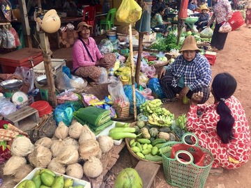 Cambodge Raid Amazones