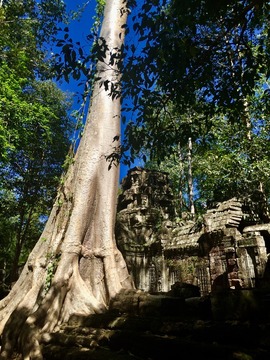 Cambodge Raid Amazones