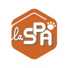 Association
