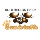 Association