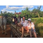 Equipe 147 / Image fournie par l'&eacute;quipe