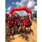 Equipe 117 / Image fournie par l'&eacute;quipe