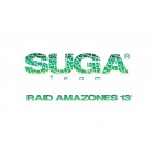 Sponsor