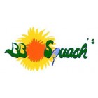 Sponsor