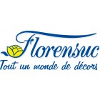 Sponsor