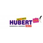 Sponsor