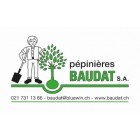 Sponsor
