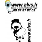 Sponsor