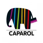 Sponsor