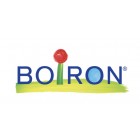 Sponsor