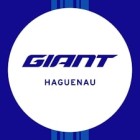 Sponsor