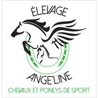 Sponsor