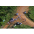 Raid Amazones 2001