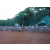 Raid Amazones 2001