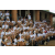 Raid Amazones 2001