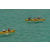 Raid Amazones 2003