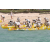 Raid Amazones 2003