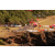 Raid Amazones 2003