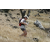 Raid Amazones 2003