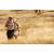 Raid Amazones 2003