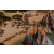 Raid Amazones 2003