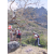 Raid Amazones 2003