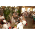 Raid Amazones 2003