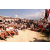 Raid Amazones 2003