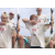 Raid Amazones 2003