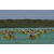 Raid Amazones 2003
