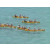Raid Amazones 2003