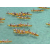 Raid Amazones 2003