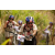 Raid Amazones 2003