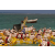 Raid Amazones 2003