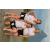 Team 57 / Arrivee des concurrentes a Maurice