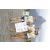 Team 56 / Arrivee des concurrentes a Maurice