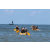 Team 23 / Jour 1 - Canoe