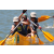 Team 58 / Jour 1 - Canoe