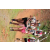 Team 76 / Jour 2 - Treck