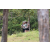 Team 56 / Jour 2 - Treck