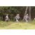 Team 42 / Jour 2 - Treck