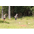 Team 63 / Jour 2 - Treck