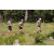 Team 70 / Jour 2 - Treck